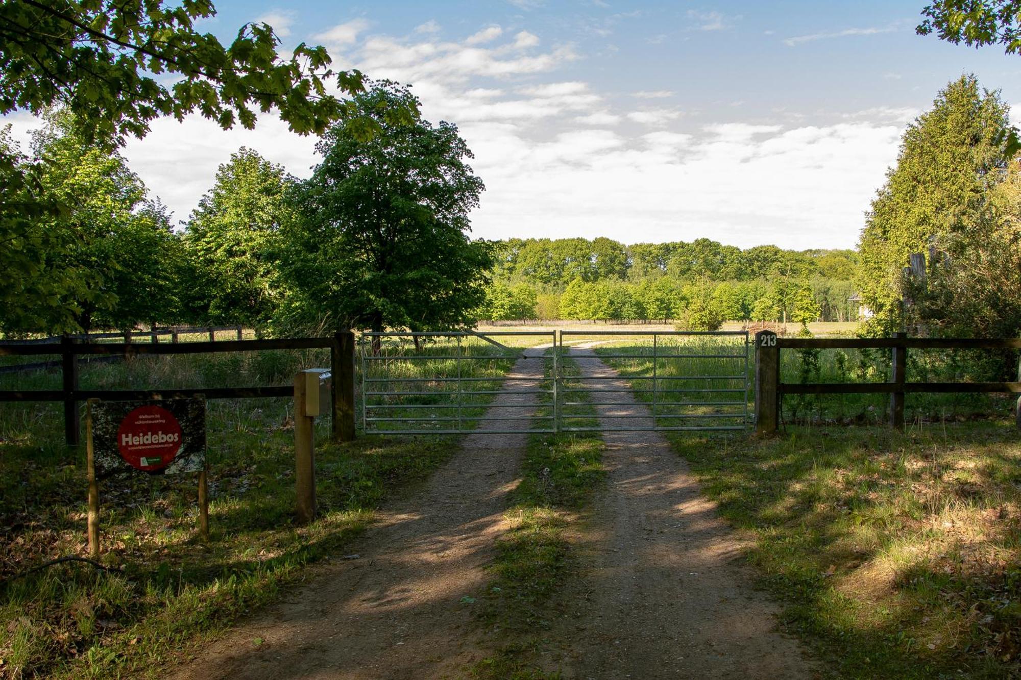 Vakantiewoning Heidebos In Het Nationaal Park Hoge Kempen Opglabbeek ภายนอก รูปภาพ